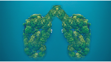 63.png 63.png